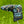 Load image into Gallery viewer, Brand New Timeless Tourtype (TT) SSS w/Large Cherry Bombs & Sight Dot @ 350g