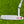 Load image into Gallery viewer, Brand New Timeless Tourtype (TT) SSS w/Large Cherry Bombs & Sight Dot @ 350g