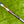 Load image into Gallery viewer, Brand New Timeless Tourtype (TT) SSS w/Large Cherry Bombs & Sight Dot @ 350g