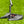 Load image into Gallery viewer, 35" Black Phantom X T7.2 SSS w/Welded Plumbers Neck