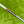 Load image into Gallery viewer, 35" Black Phantom X T7.2 SSS w/Welded Plumbers Neck