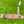 Load image into Gallery viewer, Brooks Koepka Style Chromatic Bronze T22 Newport 2 Tour w/Teryllium Insert & Top Line