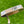 Load image into Gallery viewer, Brooks Koepka Style Chromatic Bronze T22 Newport 2 Tour w/Teryllium Insert & Top Line