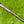 Load image into Gallery viewer, Brooks Koepka Style Chromatic Bronze T22 Newport 2 Tour w/Teryllium Insert & Top Line