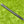Load image into Gallery viewer, Brooks Koepka Style Chromatic Bronze T22 Newport 2 Tour w/Teryllium Insert & Top Line