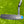 Load image into Gallery viewer, Brand New Roll Top 009m Carbon w/Welded Neck, Tour Bombs & Premium Hand Stamping