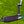 Load image into Gallery viewer, Brand New Roll Top 009m Carbon w/Welded Neck, Tour Bombs & Premium Hand Stamping