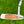 Load image into Gallery viewer, Brand New 2008 Scotty Cameron Limited Edition Buttonback Newport