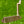 Load image into Gallery viewer, Brand New Chromatic Bronze Craftsman Pocket Squareback Proto w/Welded Mid Neck @ 350g