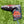 Load image into Gallery viewer, 2020 Las Vegas Release - Blade Headcover
