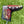 Load image into Gallery viewer, 2020 Las Vegas Release - Blade Headcover