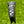Load image into Gallery viewer, RARE Smooth Face Timeless Tourtype SSS