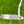 Load image into Gallery viewer, RARE Smooth Face Timeless Tourtype SSS