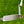 Load image into Gallery viewer, RARE Smooth Face Timeless Tourtype SSS