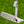 Load image into Gallery viewer, RARE Smooth Face Timeless Tourtype SSS