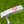 Load image into Gallery viewer, RARE Smooth Face Timeless Tourtype SSS