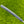 Load image into Gallery viewer, RARE Smooth Face Timeless Tourtype SSS
