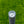 Load image into Gallery viewer, RARE Smooth Face Timeless Tourtype SSS