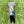 Load image into Gallery viewer, 2020 Masters - "Greens of Dreams" - Blade Headcover