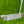 Load image into Gallery viewer, Brand New Phantom X T5 Tour SSS w/Top Line & Single Bend Shaft