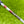 Load image into Gallery viewer, Brand New Phantom X T5 Tour SSS w/Top Line & Single Bend Shaft