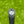 Load image into Gallery viewer, Brand New Phantom X T5 Tour SSS w/Top Line & Single Bend Shaft