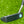 Load image into Gallery viewer, Brand New GSS M5.5 Prototype In Tour Black Finish w/Tiffany Paint and Welded Polished Flojet Neck