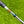 Load image into Gallery viewer, Brand New 2-Tone Scotydale 009m w/Tungsten Sole Weights & Welded Polished Neck