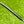 Load image into Gallery viewer, Brand New 2-Tone Scotydale 009m w/Tungsten Sole Weights & Welded Polished Neck