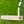 Load image into Gallery viewer, 2-Tone Phantom X T7.2 w/Welded Plumbers Neck & Black Shaft