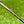 Load image into Gallery viewer, 2-Tone Phantom X T7.2 w/Welded Plumbers Neck & Black Shaft