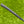 Load image into Gallery viewer, 2-Tone Phantom X T7.2 w/Welded Plumbers Neck & Black Shaft