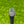 Load image into Gallery viewer, 2-Tone Phantom X T7.2 w/Welded Plumbers Neck & Black Shaft
