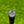 Load image into Gallery viewer, 2024-2025 Phantom X T5.5 SSS w/Welded Flojet Neck