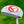 Load image into Gallery viewer, Brand New Lefty Tour GOLO 6.5 SSS w/a Welded Flojet Neck