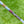 Load image into Gallery viewer, Brand New 009m SSS w/Upside Down "Titleist" Hand Stamp @ 350g
