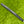 Load image into Gallery viewer, Brand New 2024 Phantom X T5.2 SSS w/ Welded Plumbers Neck