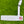 Load image into Gallery viewer, 2025 Phantom X T5.2 SSS w/ Welded Plumbers Neck & Top Arrow Alignment