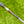 Load image into Gallery viewer, 2025 Phantom X T5.2 SSS w/ Welded Plumbers Neck & Top Arrow Alignment