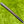 Load image into Gallery viewer, 2025 Phantom X T5.2 SSS w/ Welded Plumbers Neck & Top Arrow Alignment