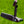 Load image into Gallery viewer, Brand New Black Timeless Plus Tourtype (+) SSS
