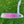 Load image into Gallery viewer, 2008 Scotty Cameron Limited Edition My Girl Buttonback Newport 2
