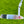 Load image into Gallery viewer, Brand New Tiger Woods Style Smooth Face GSS Timeless Tourtype (TT)