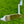 Load image into Gallery viewer, Brand New Tiger Woods Style Smooth Face GSS Timeless Tourtype (TT)