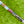 Load image into Gallery viewer, Brand New "Carlsbad, CA 92009" Carbon 009m (Masterful) w/USA Neck Stamp @ 350g