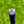 Load image into Gallery viewer, Brand New Tiger Woods Style Smooth Face GSS Timeless Tourtype (TT)