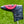 Load image into Gallery viewer, Brand New Scotty Cameron Gallery "Vault" Circle T Blade Headcover