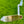Load image into Gallery viewer, Brand New Tiger Woods Style Smooth Face GSS 009m w/Large Single Milled Bombs