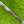 Load image into Gallery viewer, Brand New Tiger Woods Style Smooth Face GSS 009m w/Large Single Milled Bombs