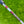 Load image into Gallery viewer, Brand New 2025 Phantom X T9.5 SSS w/Top Line Arrow Alignment